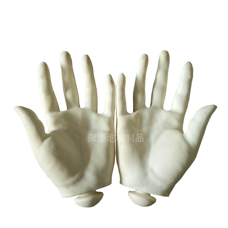 Polyurethane PU foam simulation human prosthetic model medical school ...