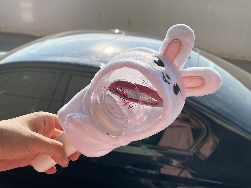 Stray Kids SKZOO Felix Seungmin Concert Lamp Cover Doll Cape Hat Plush ...