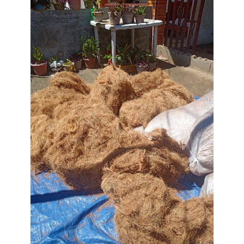 coconut coir/hush 1 kilo per bag. Shopee Philippines