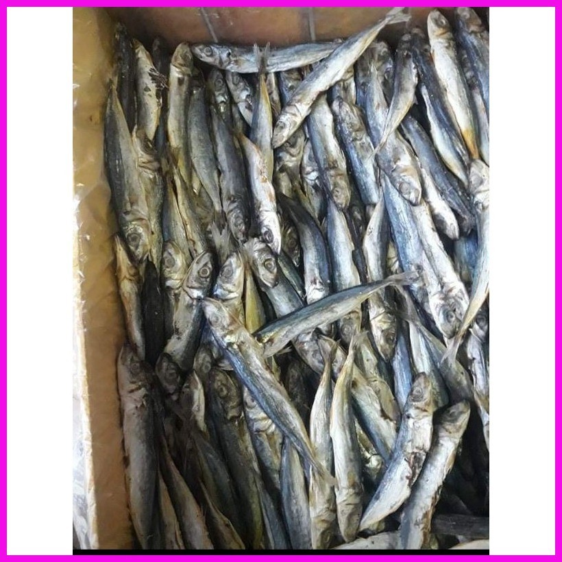 Cebu's Best Dried Fish Bodboron (500 grams) | Shopee Philippines