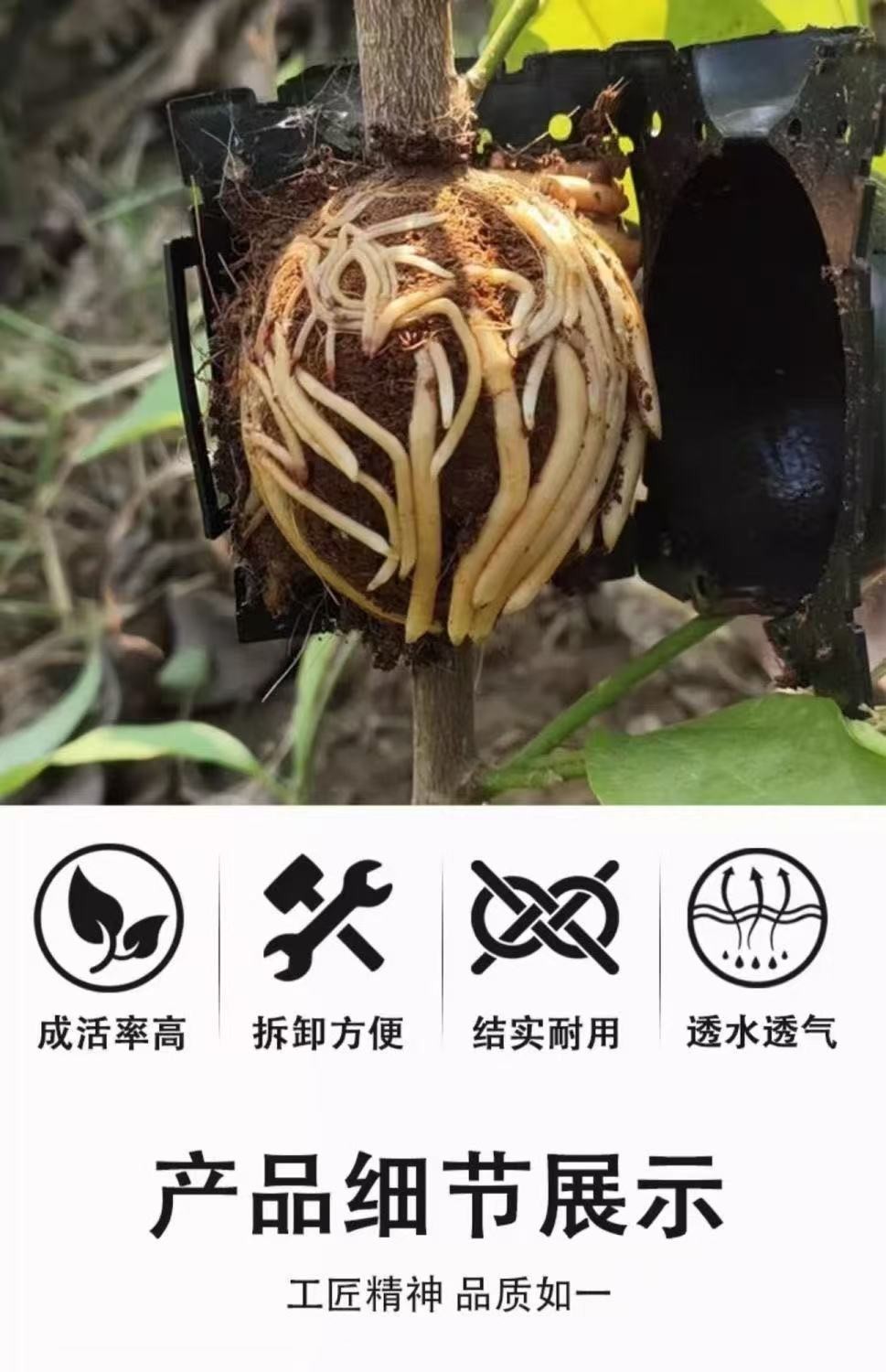10Pcs pack Plant Rooting Ball For High Pressure Damage-Free Grafting ...