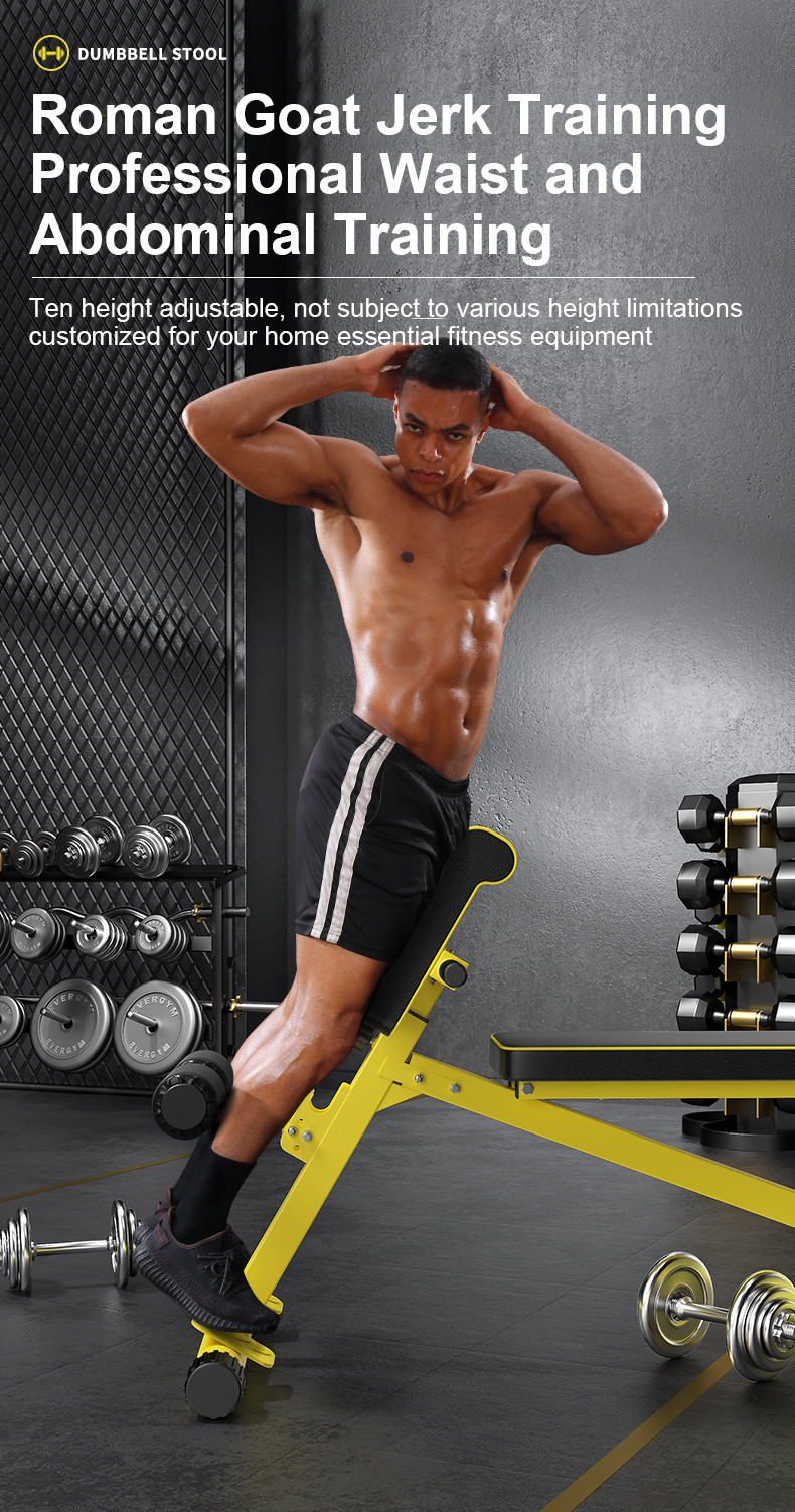 Roman Chair Adjustable Sit Up Incline Abs Benchs Flat Fly Weight Press Fitness