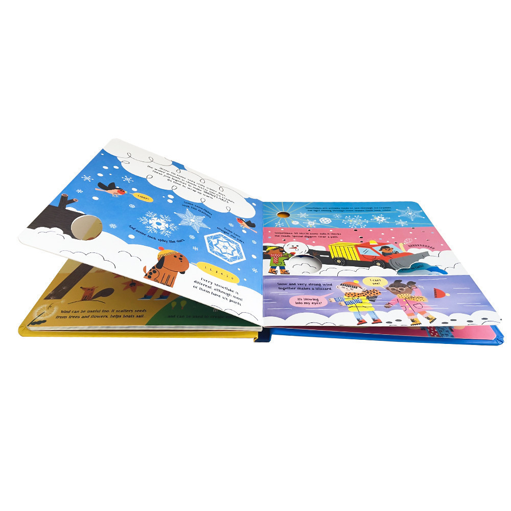 Usborne Step Inside Science Weather English Picture Book for Kids ...