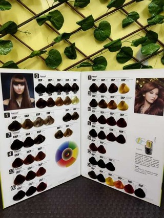 Performance Hair Coloring Chart Color Brochure Bremod 