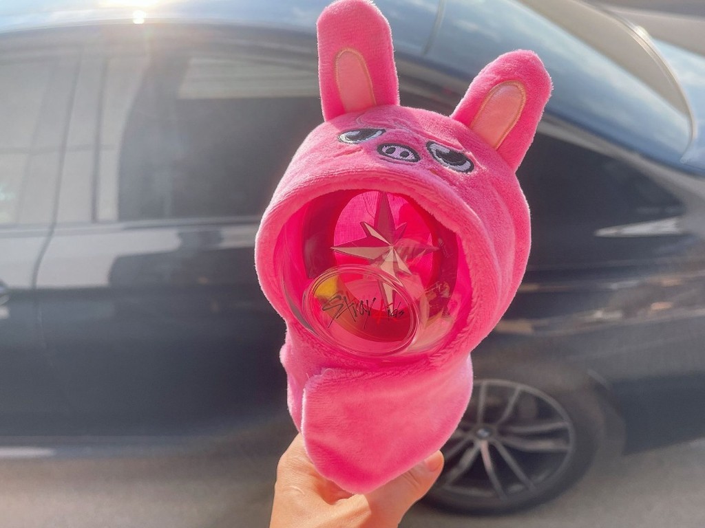 Stray Kids SKZOO Felix Seungmin Concert Lamp Cover Doll Cape Hat Plush ...