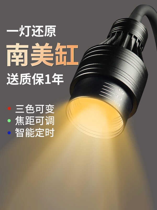 Light fish zoom spotlight native tank aquarium viewing intelligent ...