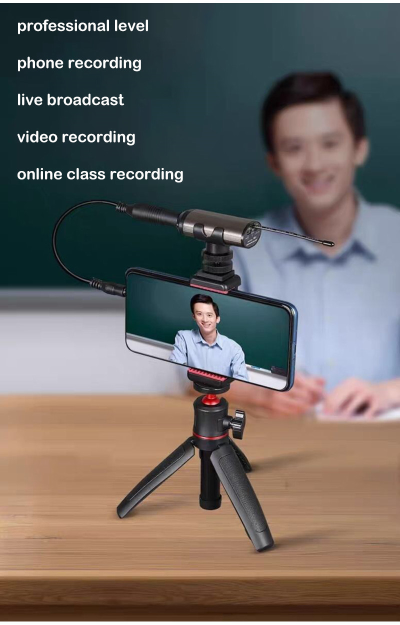 RAYCO Portable Wireless Headset Microphone+Lavalier Mic System Teaching ...