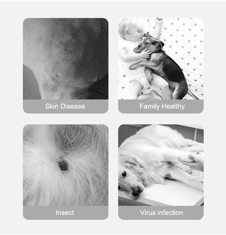 Pet flea and tick collar Organic Essence Oil Cat Vitro Mosquito