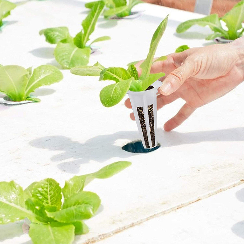 20/50PC Soilless Seed Grow Nursery Pot Root Starter Hydroponic Soils ...