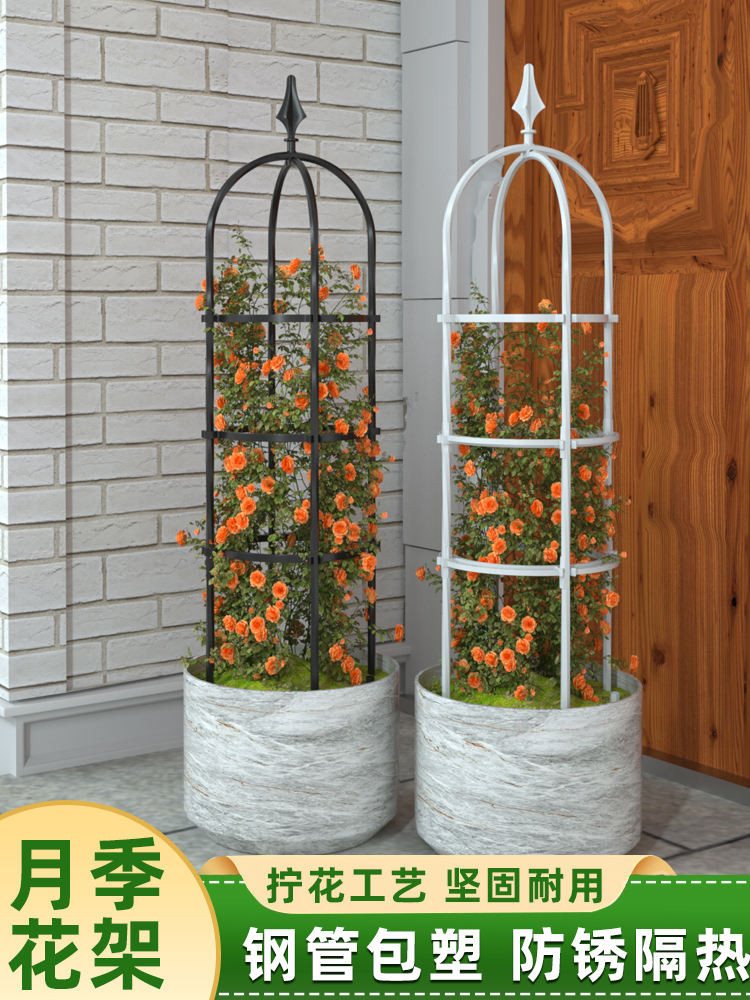 Climbing flower racks/// Flower Stand Climbing Pergola Pergola Clematis ...