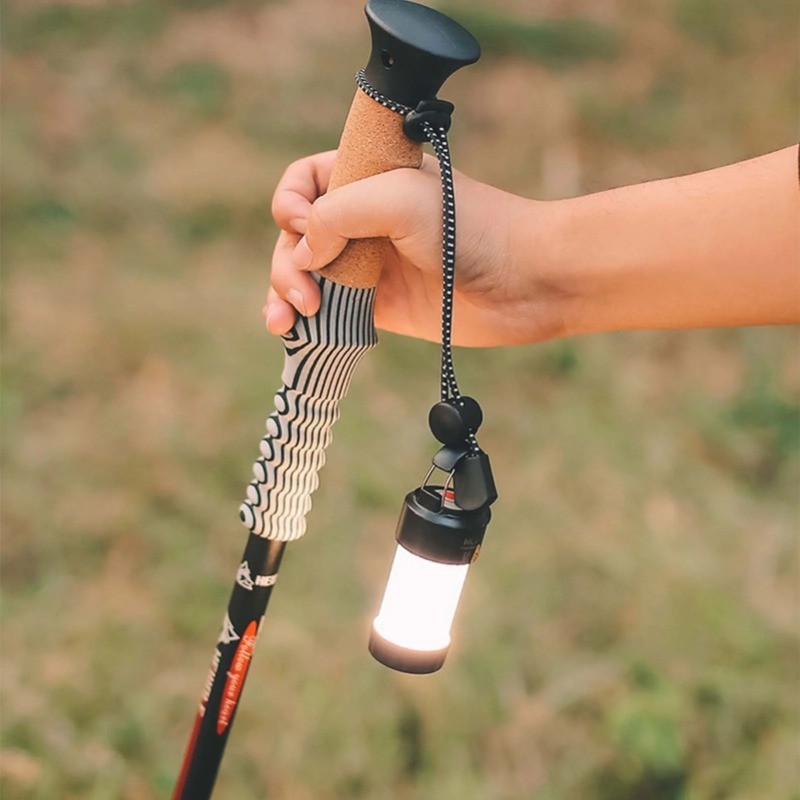 2/5Pcs Adjustable Elastic Ropes - Mountaineering Backpack Walking Stick ...