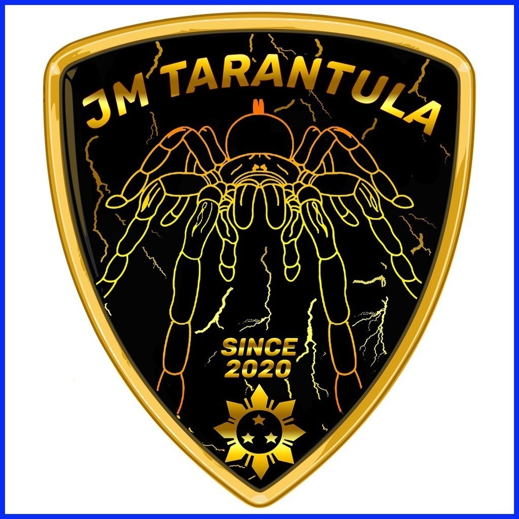 Adrian Torres Mayo Customized Enclosure for your exotic pets