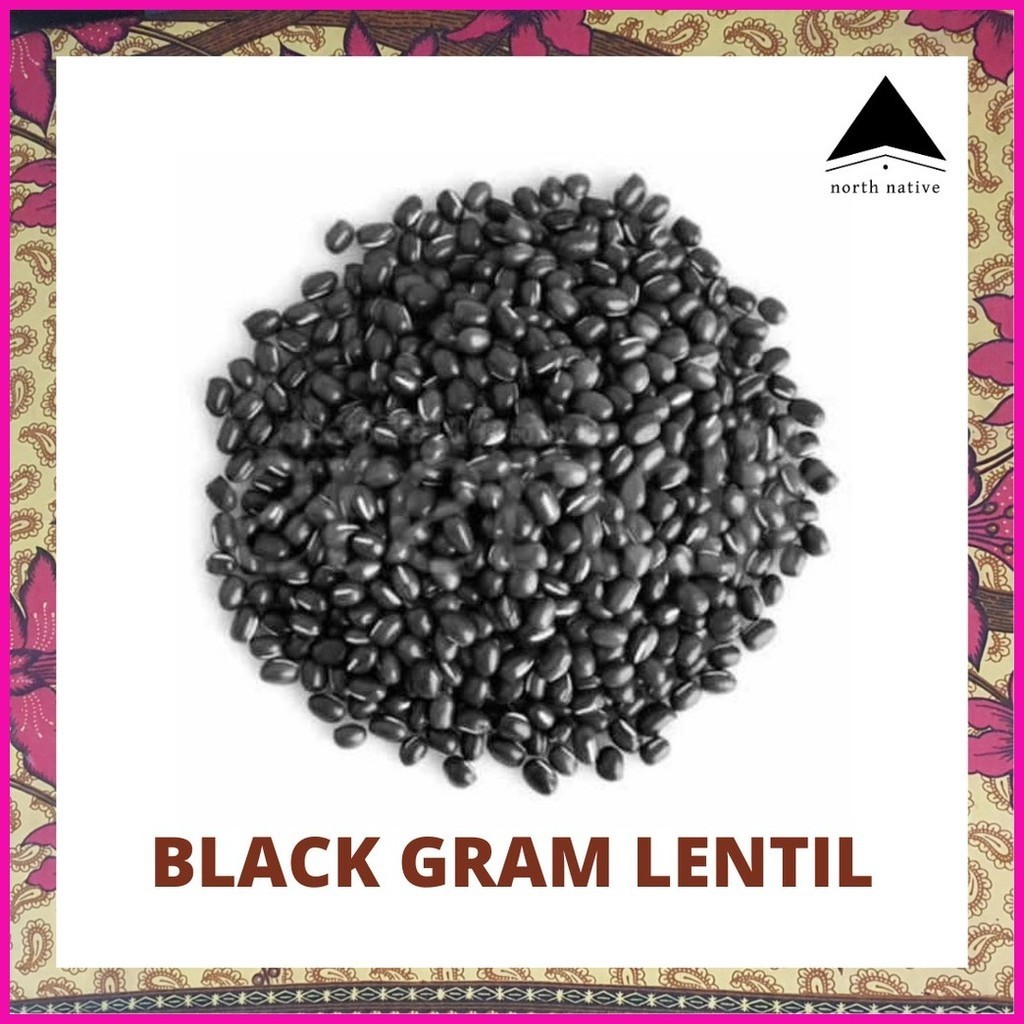 ♂ ⚽︎ Whole Dried Black Gram Lentil - Organic and Sproutable 1kg ...