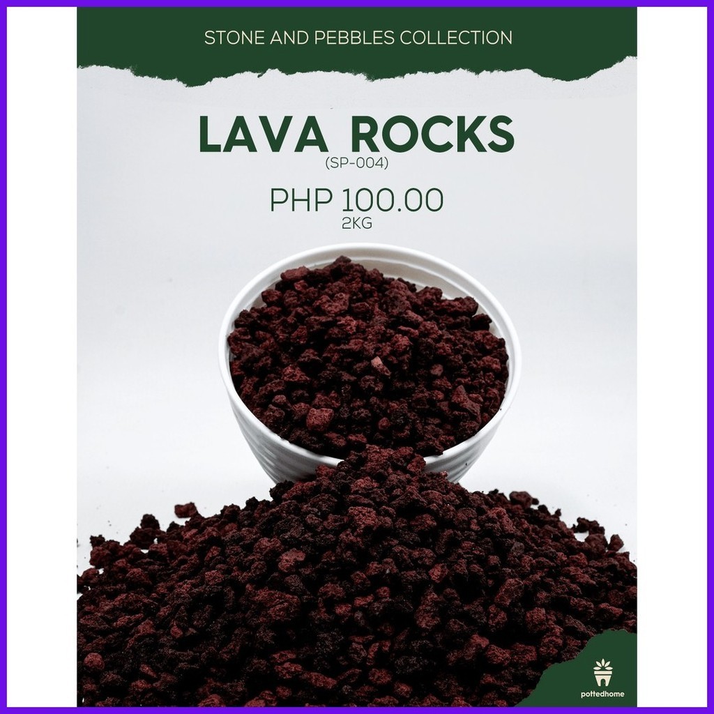 ¤ Lava Rocks 2KG [PREMIUM QUALITY] | Shopee Philippines