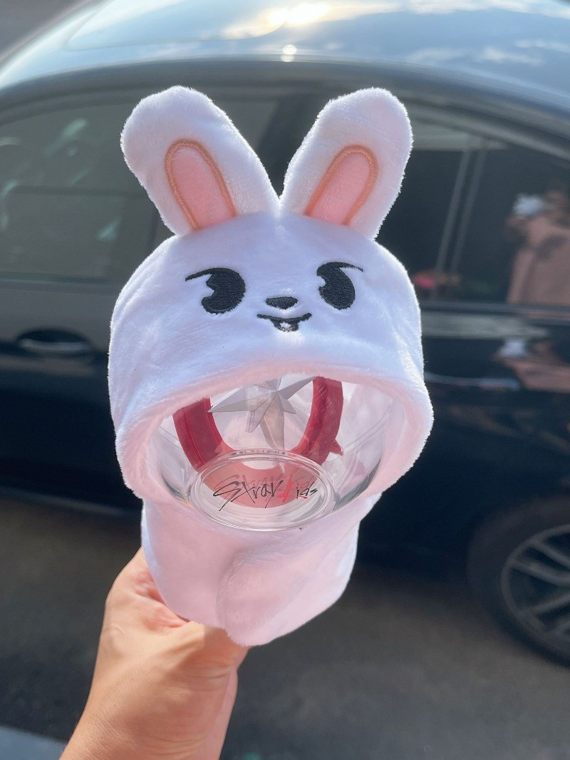 Stray Kids SKZOO Felix Seungmin Concert Lamp Cover Doll Cape Hat Plush ...