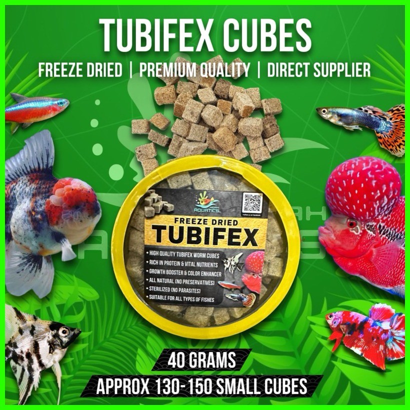 Tubifex Worm Cubes Freeze Dried 12g 25g & 40g [Direct Supplier] Premium ...