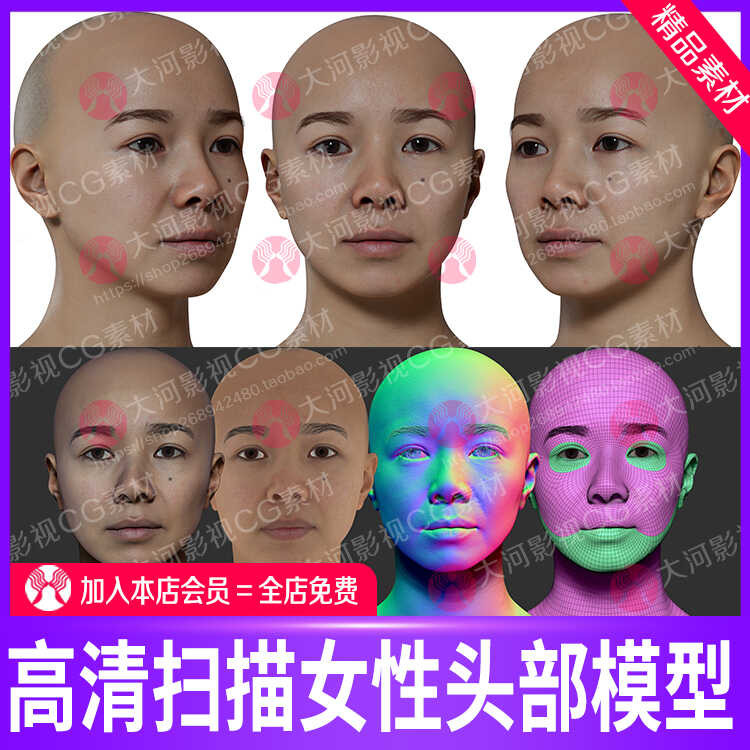 HD scanning female head model OBJ format standard wiring head model ...