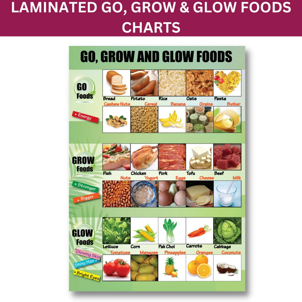 ⊞ Laminated Go, Grow & Glow Foods Chart for Kids, Learners and ...