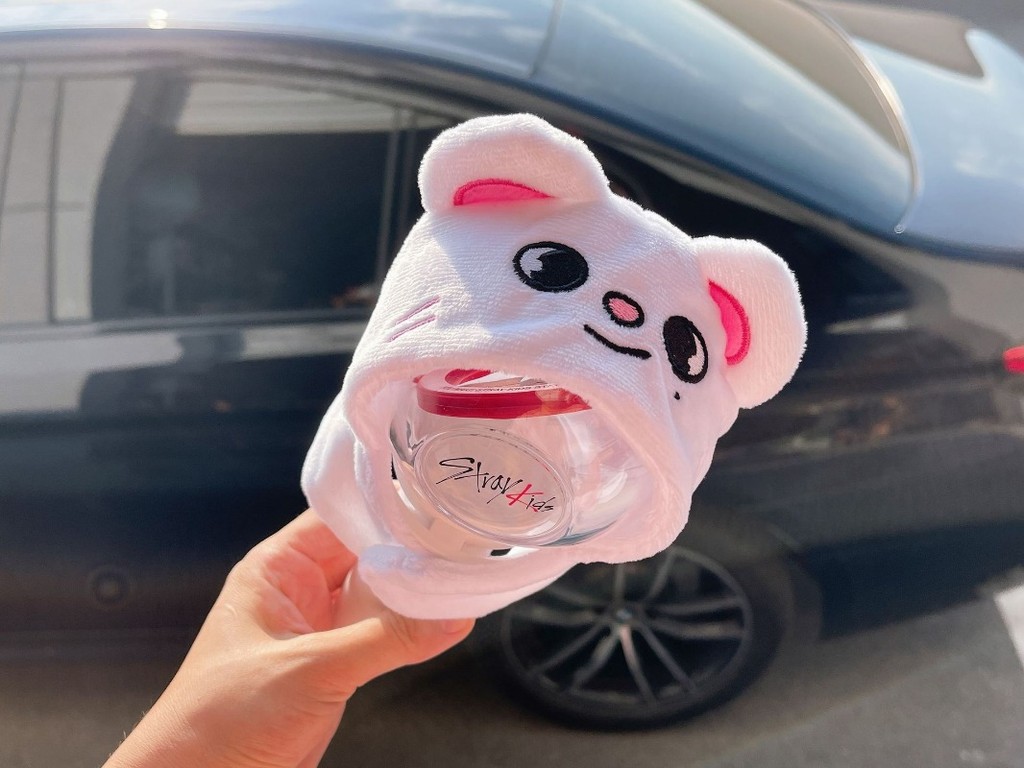 Stray Kids SKZOO Felix Seungmin Concert Lamp Cover Doll Cape Hat Plush ...
