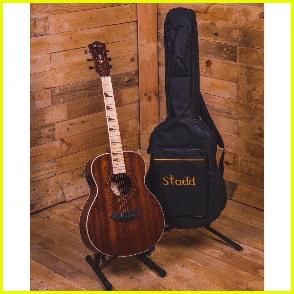 Stadd guitar price sales