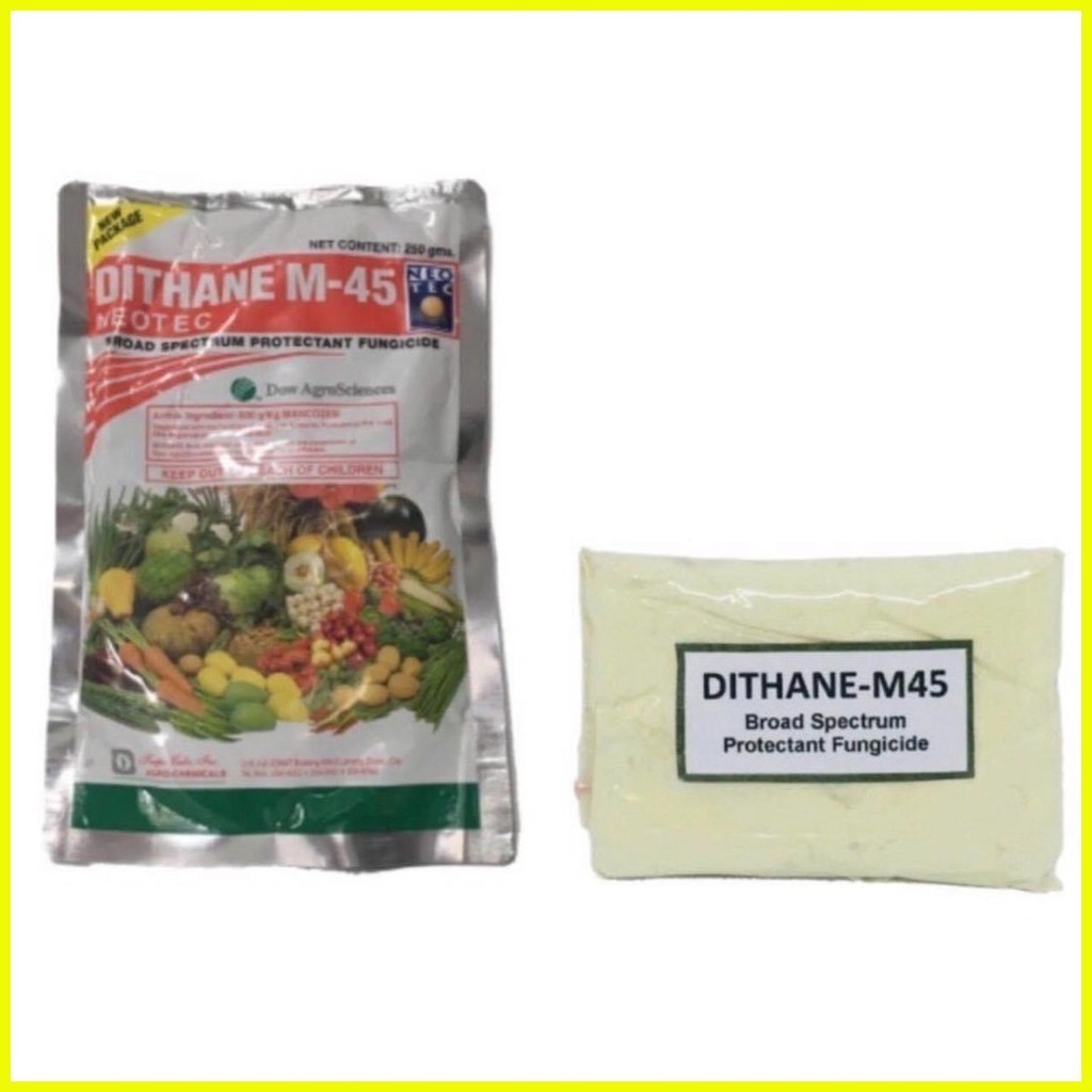 § ∇ Dithane Dithane Fungicide for plant Dithane m 45 Fungicide Dithane ...