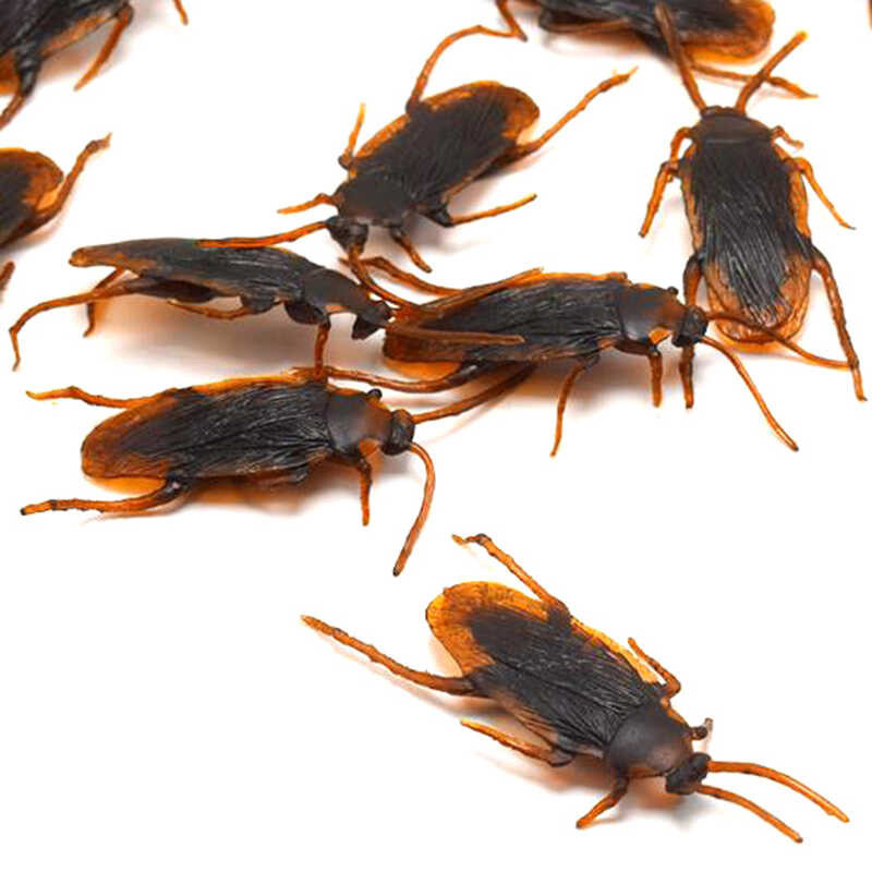 10Pcs False Rubber Roach Roach Bug Halloween Special Lifelike Model ...