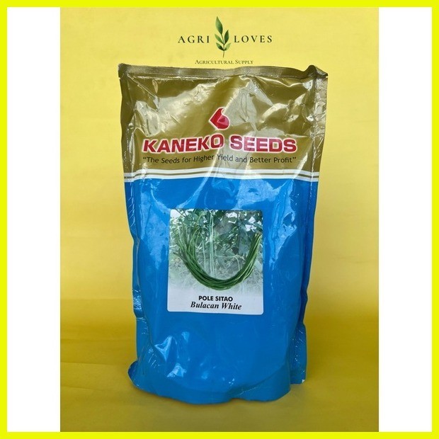 Bulacan White Pole Sitao Seeds 1 kilo (Kaneko Seeds) | Shopee Philippines