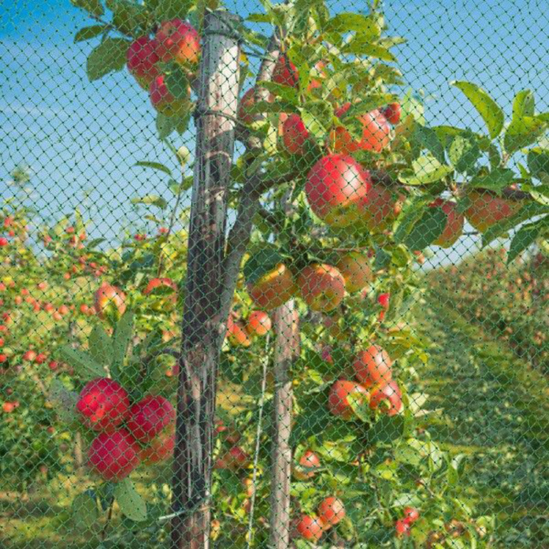 Green Bird Proof Net Garden Netting Orchard Fruit Tree Protection Mesh ...