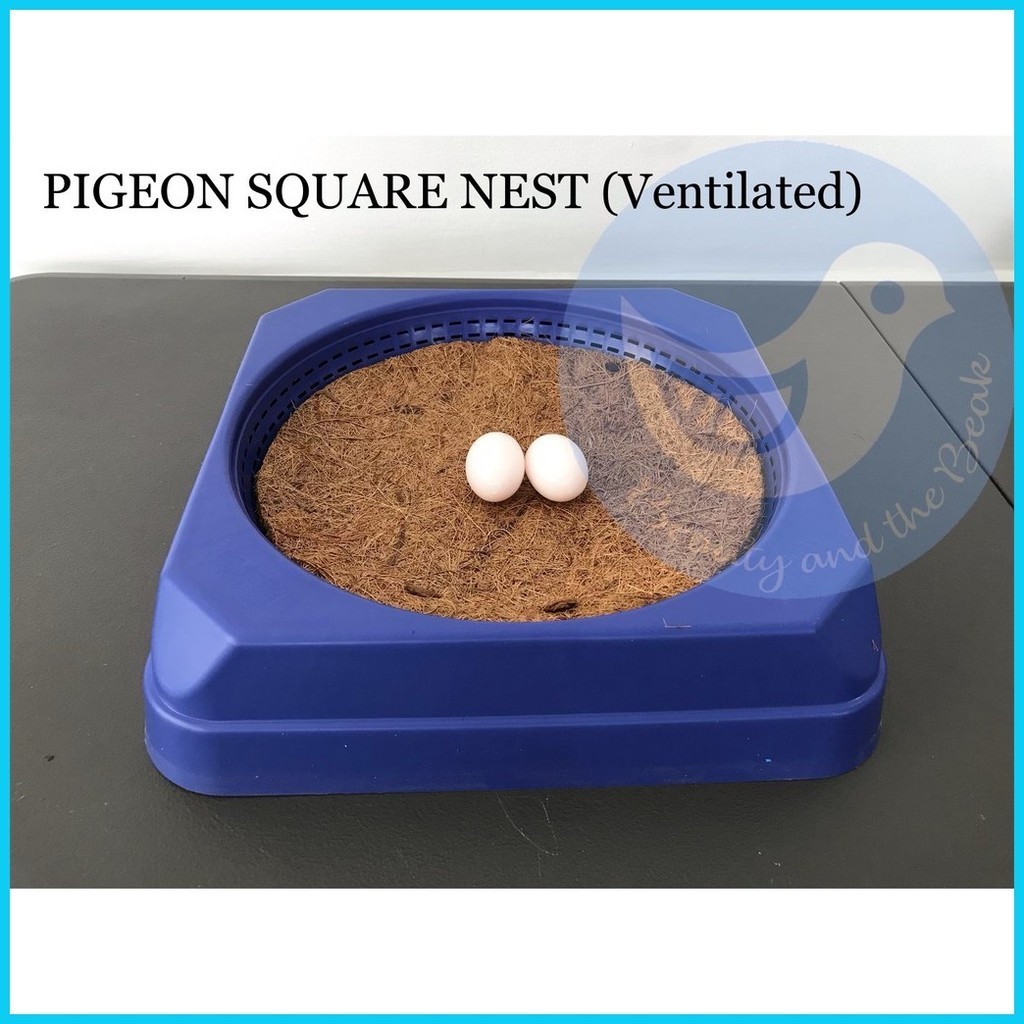⊕ Pigeon Square Nest Ventilated Plastic Heavy Duty (Fake Eggs NOT ...