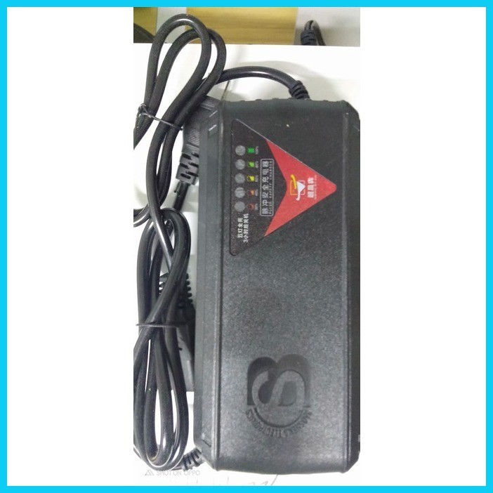 ☪ § Ebike Charger 48v 20ah for Battery 48V 20ah - 25ah, Applicable for ...