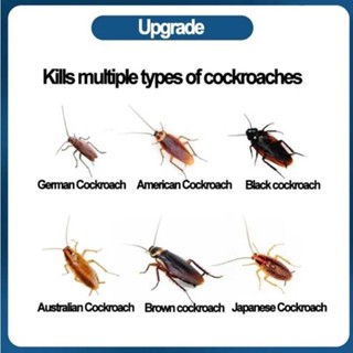 ml 500 ligtas hindi toxic insecticide cocroach masaya ng insekto ants ...