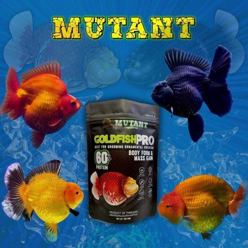Mutant Goldfish PRO - BODY FORM & MUSCLE GAIN 100-300 Grams 7E7 690 ...