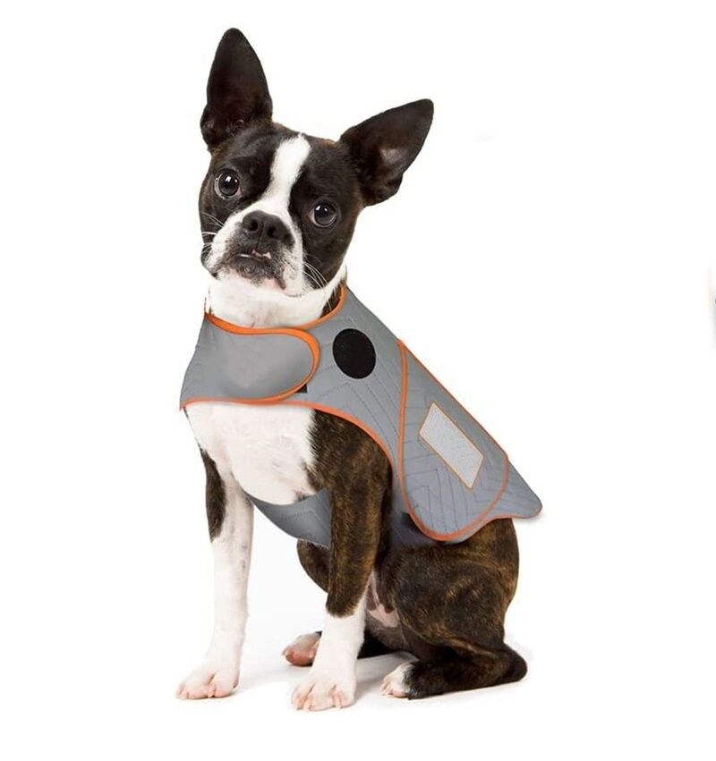 Photo inspiration: Visual Reference: Pawsome Pet Dog Sport Anxiety Vest Pet Cat Clothes Dogs