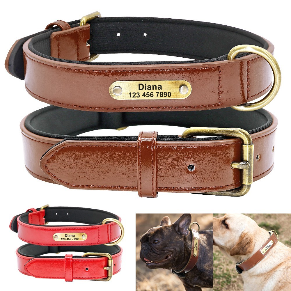 Engraved leather collar with name Id for pets and dogs, size S M L