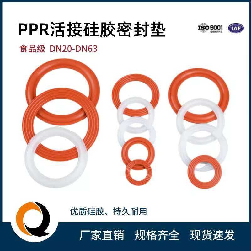 PPR Seal Plumbing Union Leak-proof 1/2