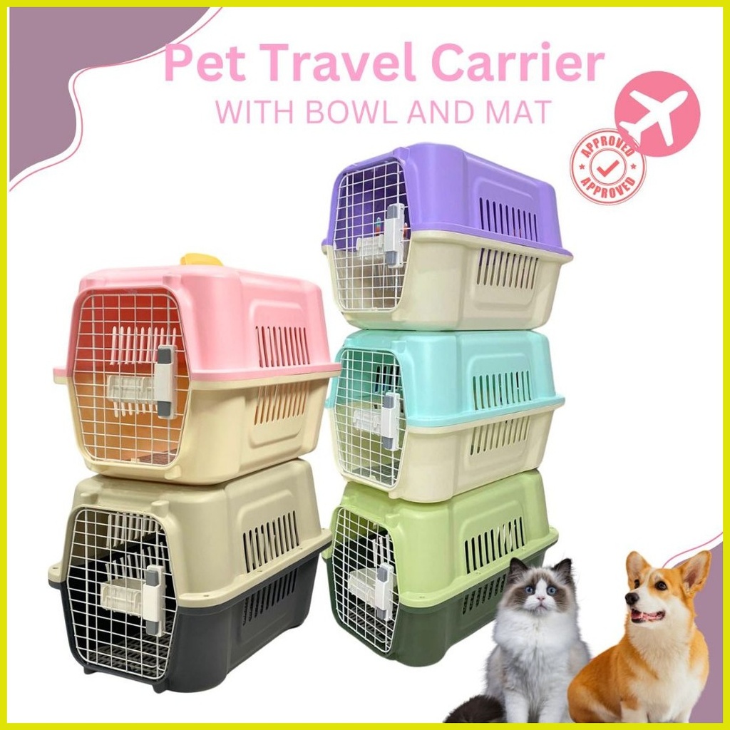 ๑ Petbest Pet Travel Carrier Box Airline Approved Large Shopee