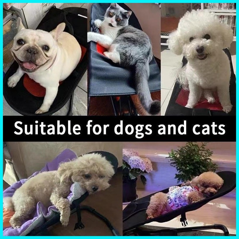 Pet Rocking Chair Cat Rocking Chair Dog Bed Pet Rocking Bed Spring ...