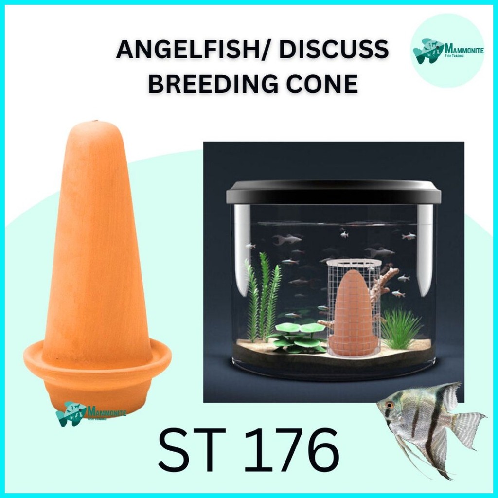 Aquarium Angelfish and Discus Breeding Cone TW-1004 & ST-176 | Shopee ...
