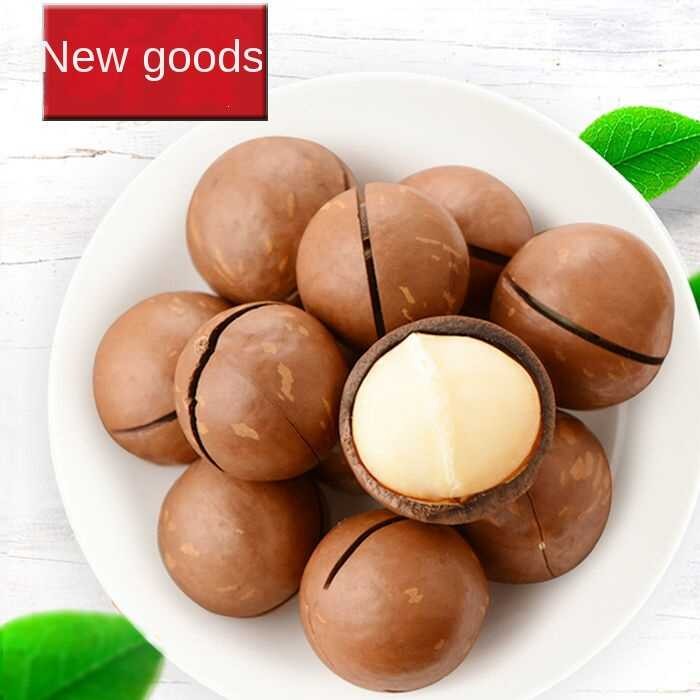 [BUY 1 GET 1] adamia nut creamy dried summer fruit snac para sa mga ...