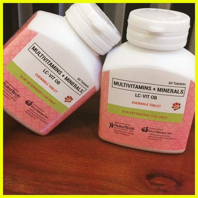 ♒ ﹊ Lc-vit OB Chewable Tablets For Pregnant and lactating bitches ...