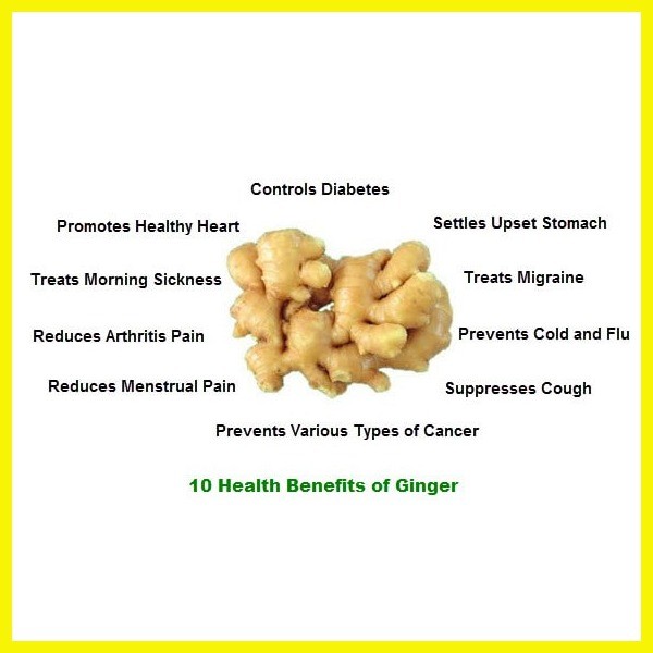 ۩ 1 Kilogram Organic Pure Natural Ginger Powder Antiinflammatory