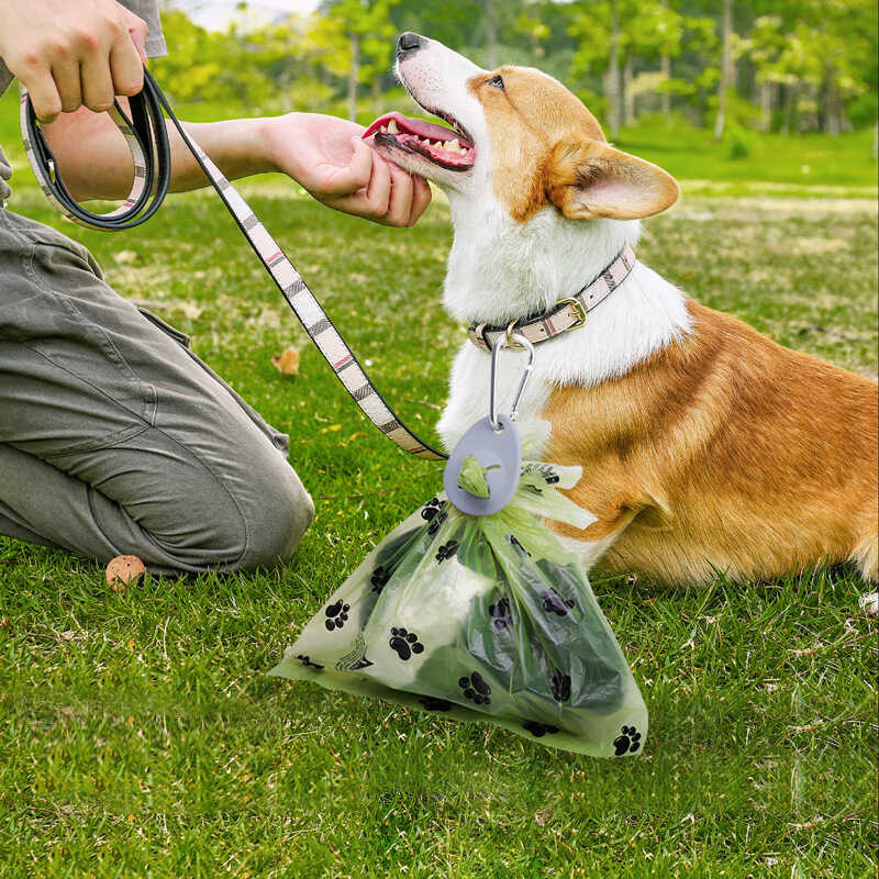 Dog Poop Scooper With Poop Bag Holder, Pet Poop Picker, Outdoor Dog ...