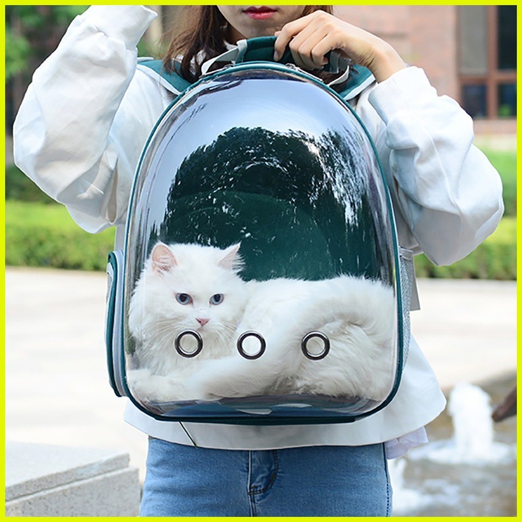 Capsule cat backpack sales