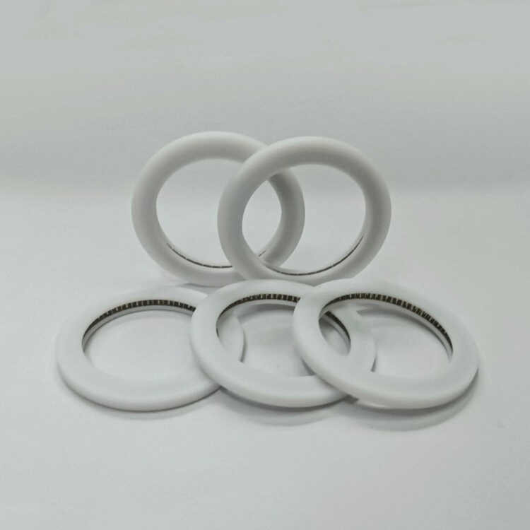 Spring Reinforced PEEK Seal Tecan Pan Plug Seal Ring PTFE Seal Inner ...