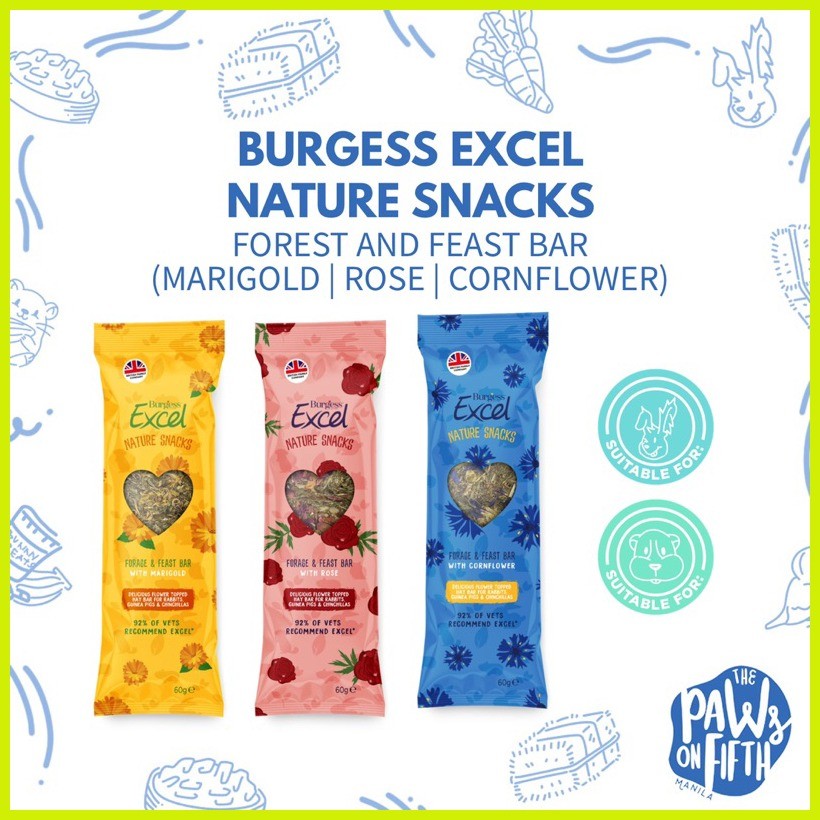 ๑ ஐ Burgess Excel Forage & Feast Hay Bar 60g (Rabbit Treats | Guinea ...