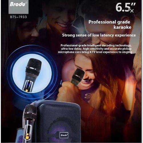 BTS 1933 Brodu Bluetooth Karaoke Speaker with Wireless Microphone ...