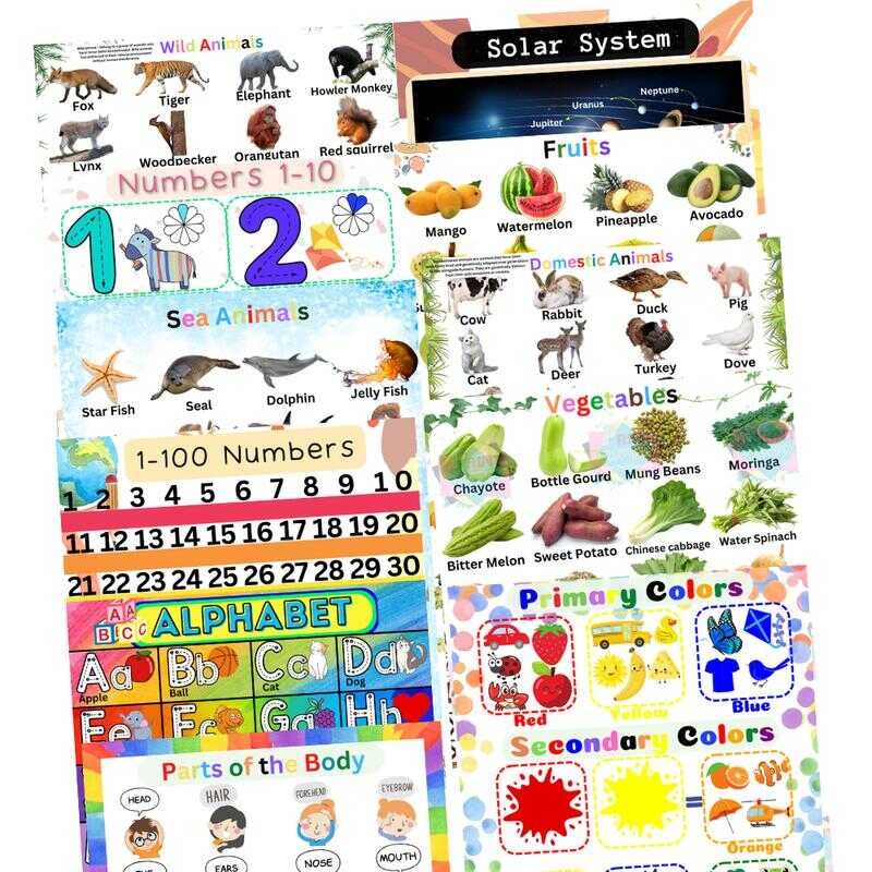 Laminated Learning Materials Kids 16 Different For Toddler And Kids