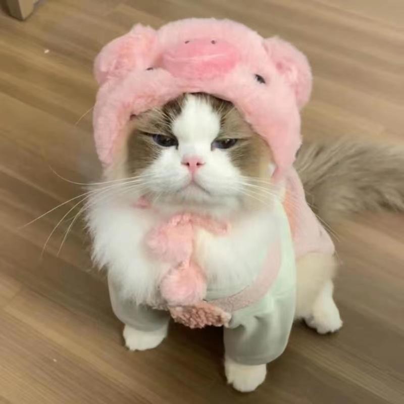 Cute Pet Headgear Halloween Dog Hat Headdress Cat Dress Up Shopee