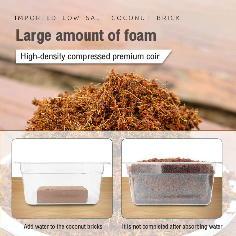 500g * 3 coconut chunks, natural coconut shell nutrient soil, suitable ...