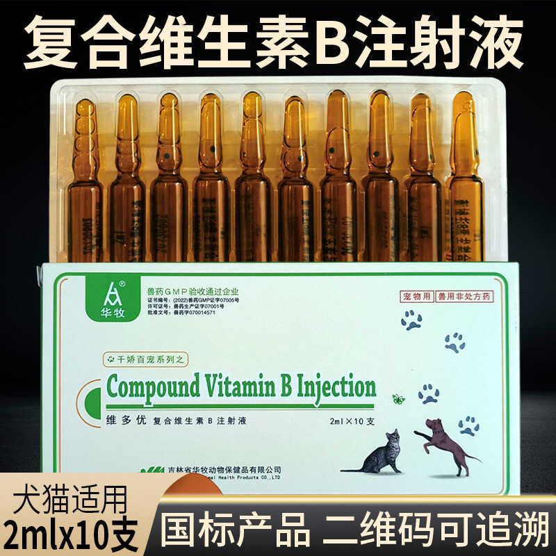 Canine and Feline Veterinary Vitamin B Complex Injection for Pets with ...